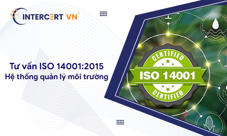 Tư vấn ISO 14001:2015: Tiêu chuẩn về quản lý môi trường