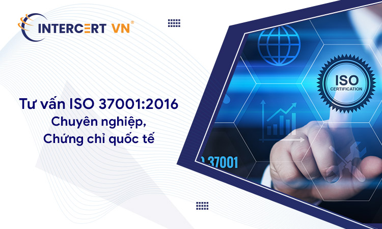 Tư vấn ISO 37001:2016 - Chuyên nghiệp, chứng chỉ quốc tế