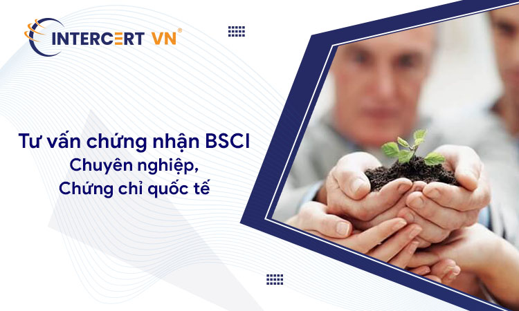 Tư vấn BSCI - Bộ tiêu chuẩn trách nhiệm xã hội