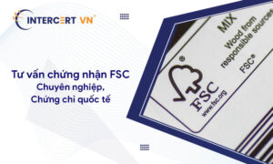 Tư vấn FSC: Chuyên nghiệp, chứng chỉ quốc tế