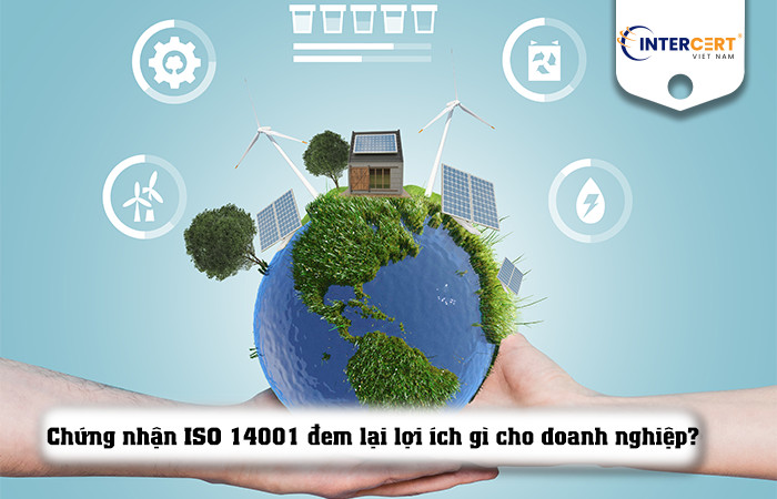 chứng nhận iso 14001:2015