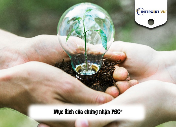 giấy chứng nhận fsc coc 