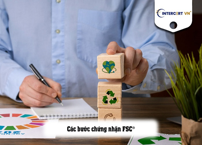 giấy chứng nhận fsc coc 