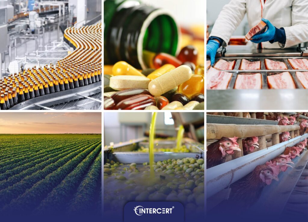 Chứng Nhận HACCP Về An Toàn Thực Phẩm