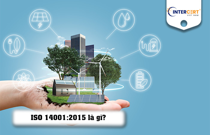 chứng nhận iso 14001:2015