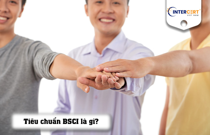 Đánh Giá BSCI: Trách Nhiệm Xã Hội