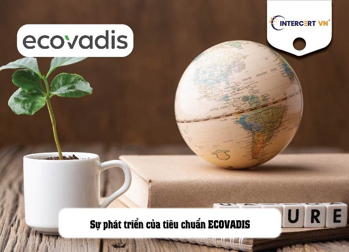 tiêu chuẩn ecovadis