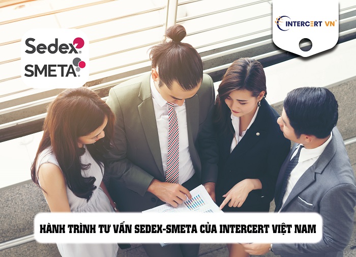 tư vấn sedex-smeta