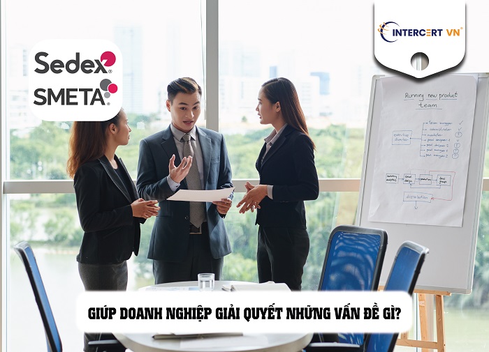 tư vấn sedex-smeta