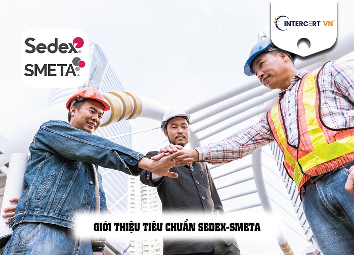 tư vấn sedex-smeta