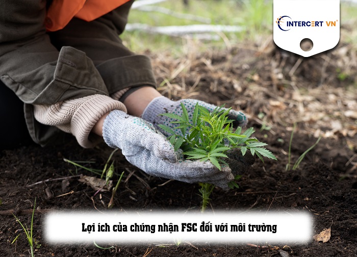 Lợi ích toàn diện của Chứng nhận FSC