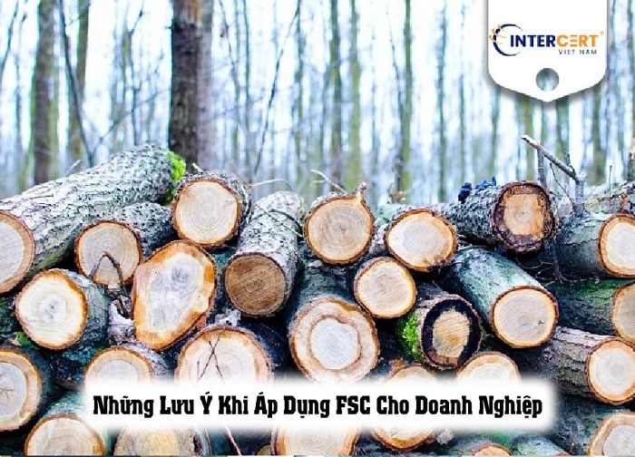 Những Lưu Ý Khi Áp Dụng FSC Cho Doanh Nghiệp