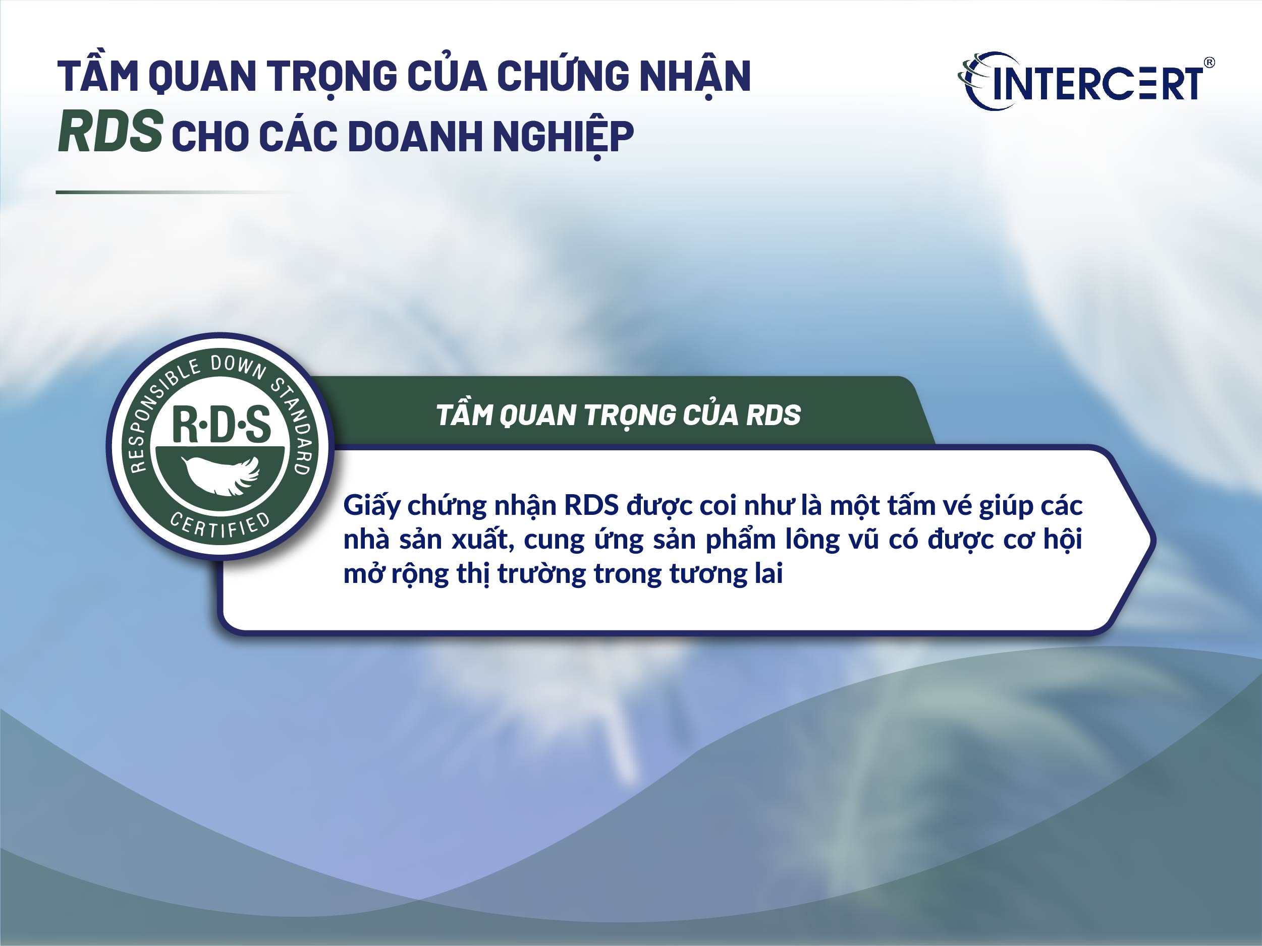 Chứng Nhận RDS