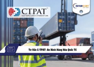 tư vấn c-tpat