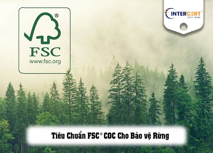 bộ tiêu chuẩn fsc