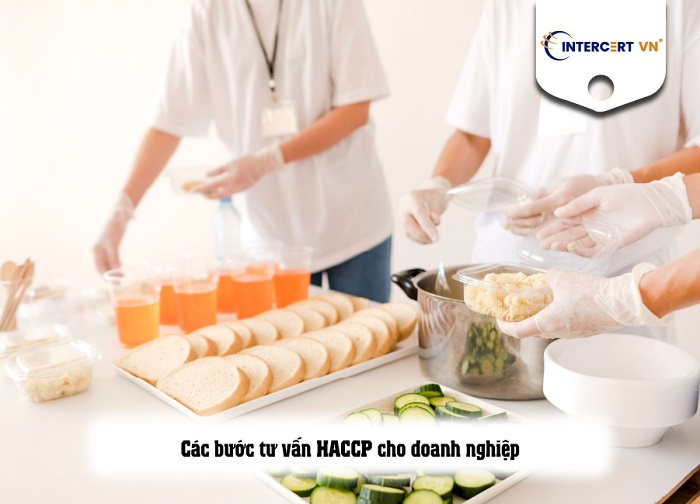 tư vấn haccp