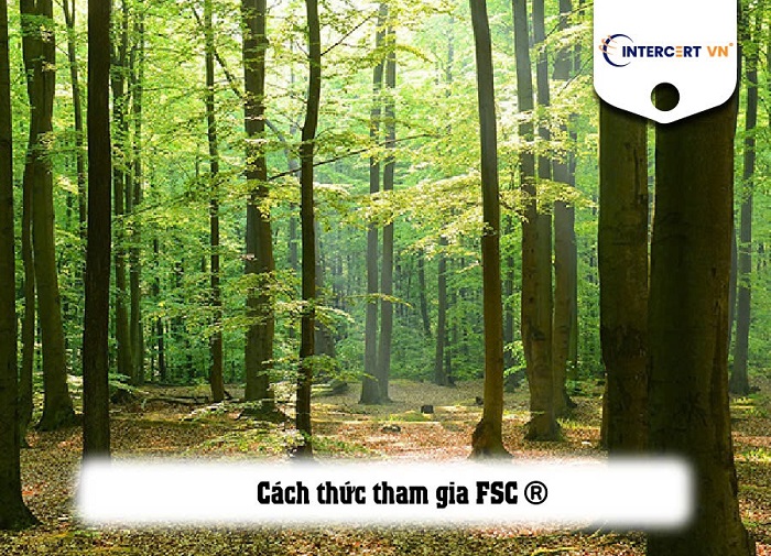 cách thức tham gia fsc