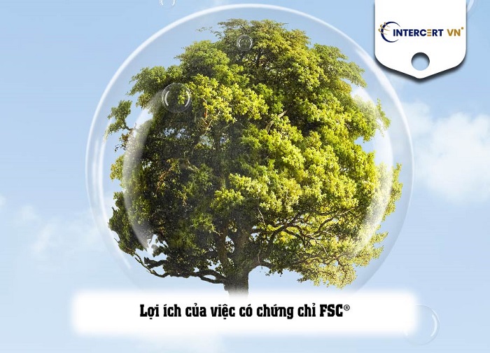 chứng chỉ fsc