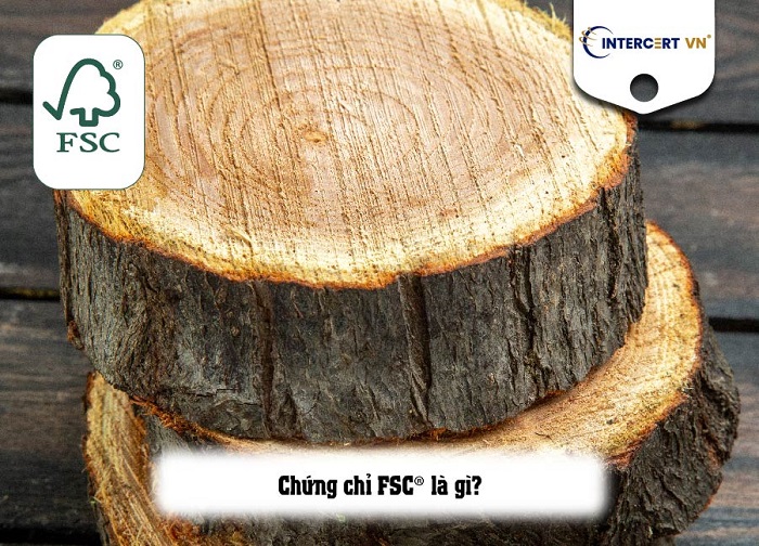 chứng chỉ fsc