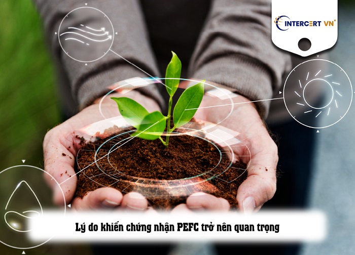 chứng nhận pefc