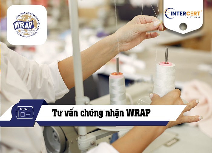 tư vấn wrap