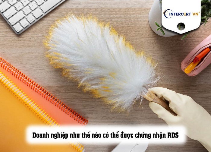 chứng nhận rds