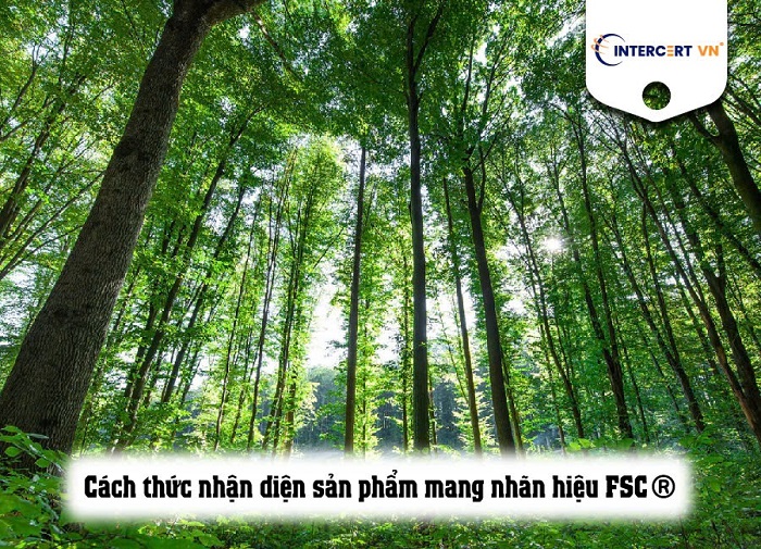 Forest Stewardship Council