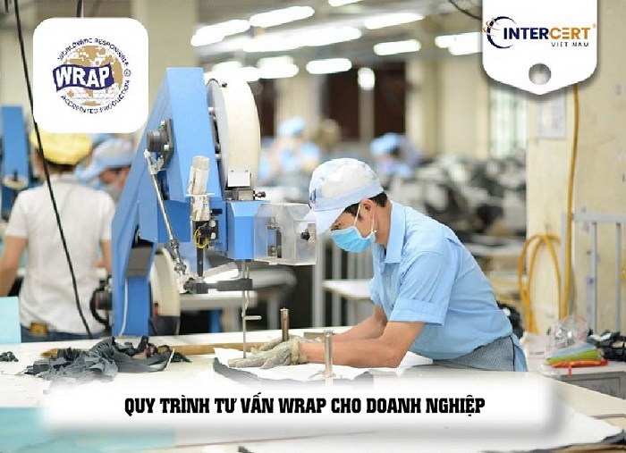 tư vấn wrap