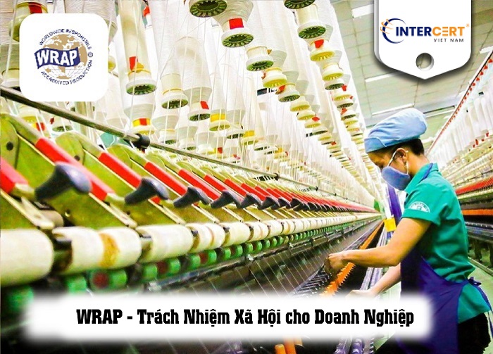 tư vấn wrap