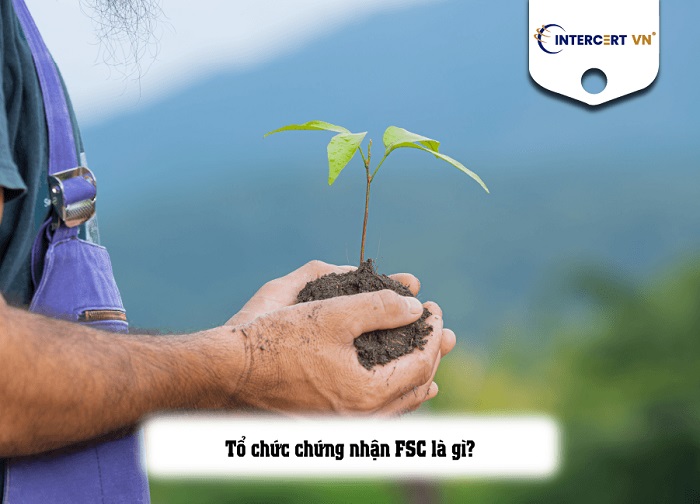 tổ chức chứng nhận fsc 