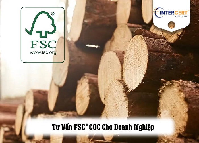 tư vấn fsc cho doanh nghiệp