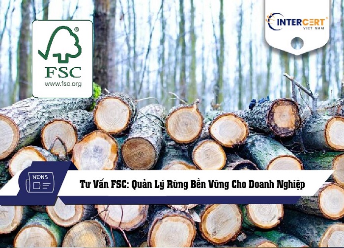 tư vấn FSC