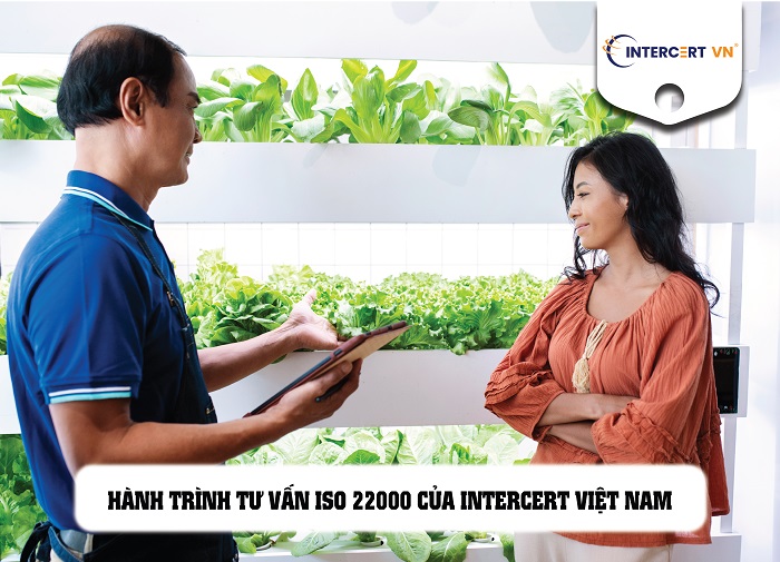 tư vấn iso 22000:2018