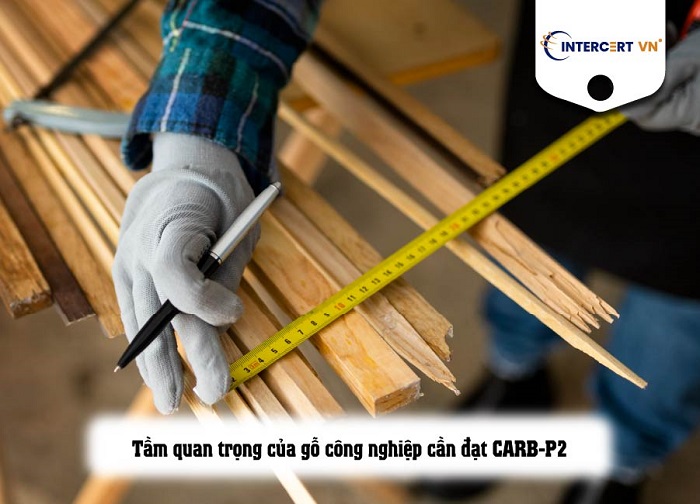 bộ tiêu chuẩn carb p2