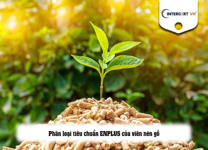 bộ tiêu chuẩn enplus