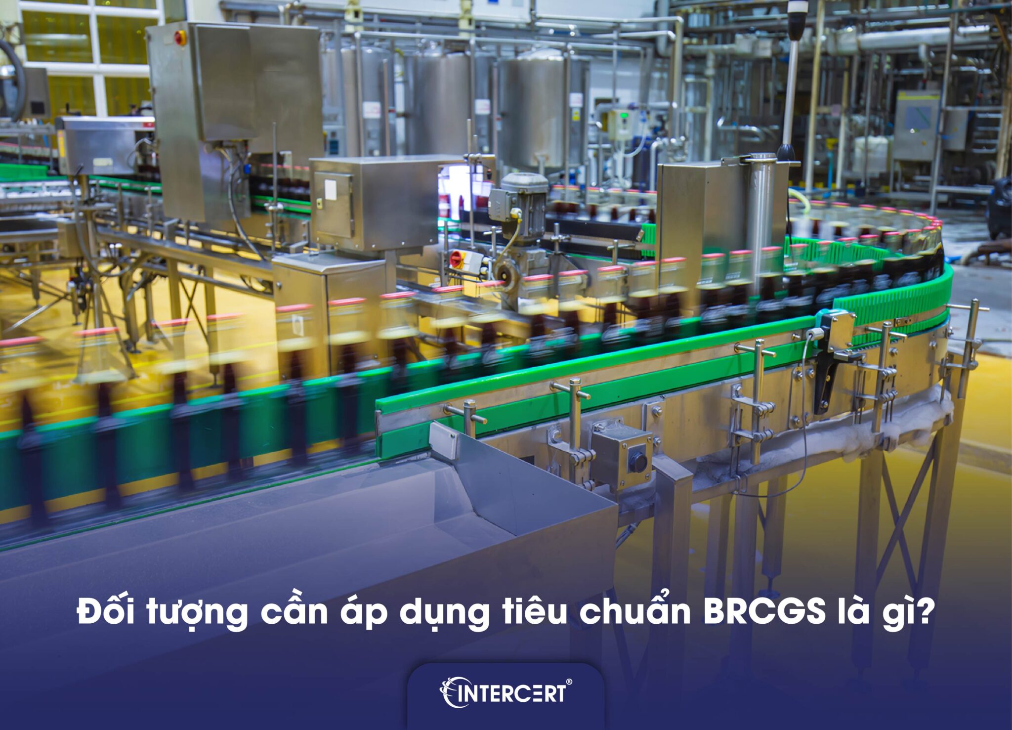 Tiêu chuẩn BRCGS là gì ? Cấu trúc và Nội dung của BRCGS Food