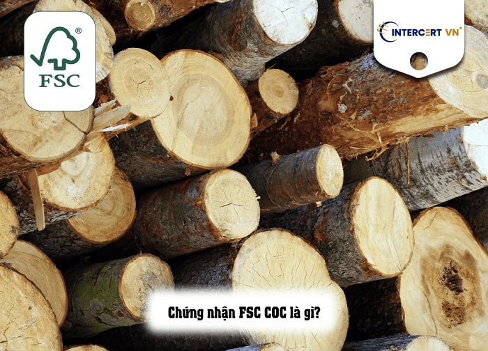 tư vấn fsc coc cho công ty goldsun