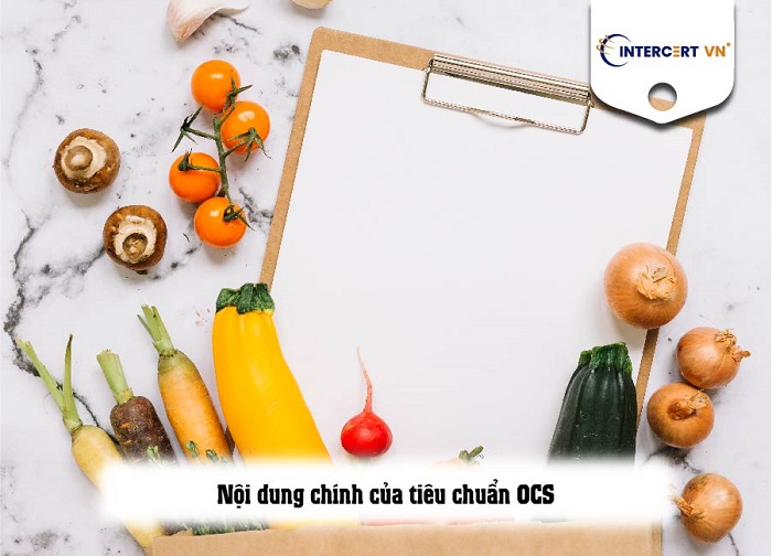 tiêu chuẩn ocs