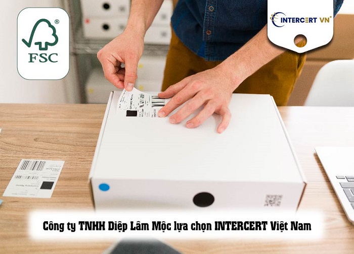  tư vấn FSC CoC cho Công ty TNHH Diệp Lâm Mộc