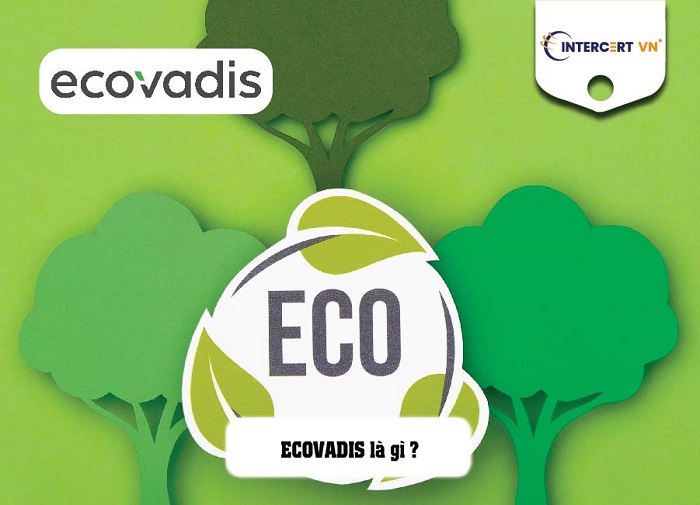 bộ tiêu chuẩn ecovadis