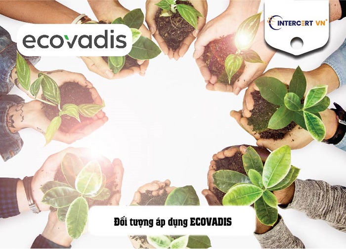 bộ tiêu chuẩn ecovadis