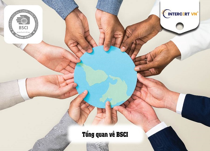 tư vấn bsci