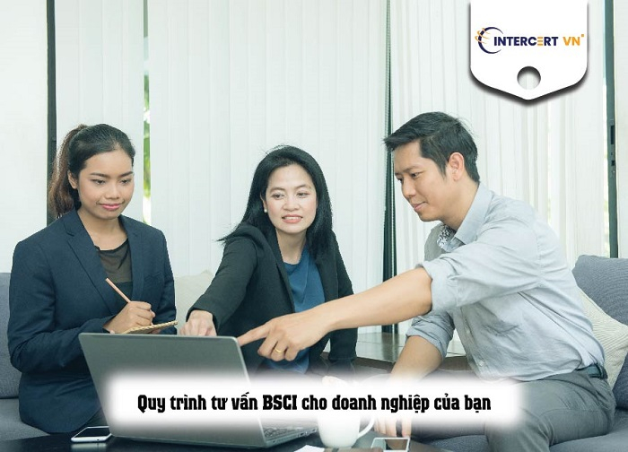 tư vấn bsci