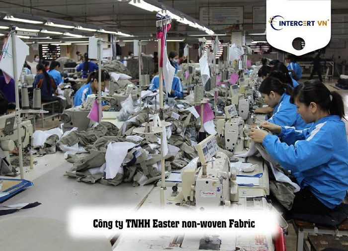 Tư vấn Đào tạo GRS cho Công ty TNHH Easter non-woven Fabric