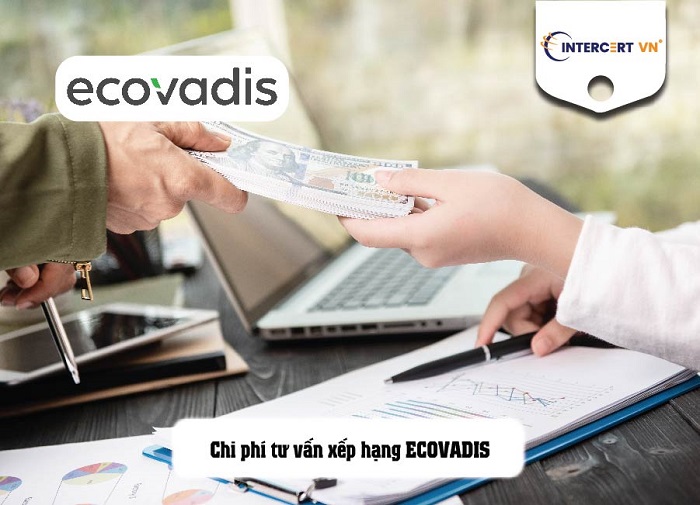 tư vấn ecovadis