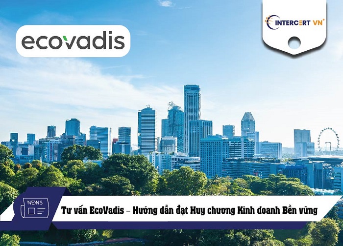 tư vấn ecovadis