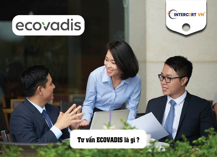 tư vấn ecovadis