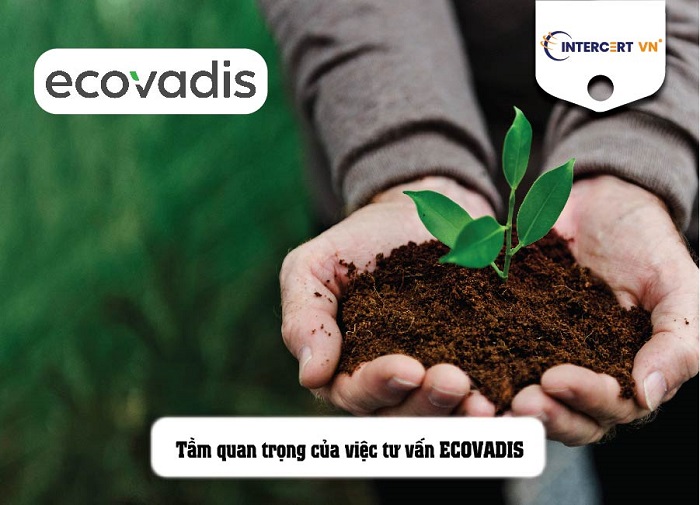 tư vấn ecovadis