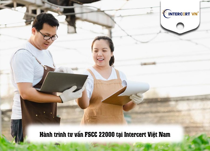 tư vấn fssc 22000