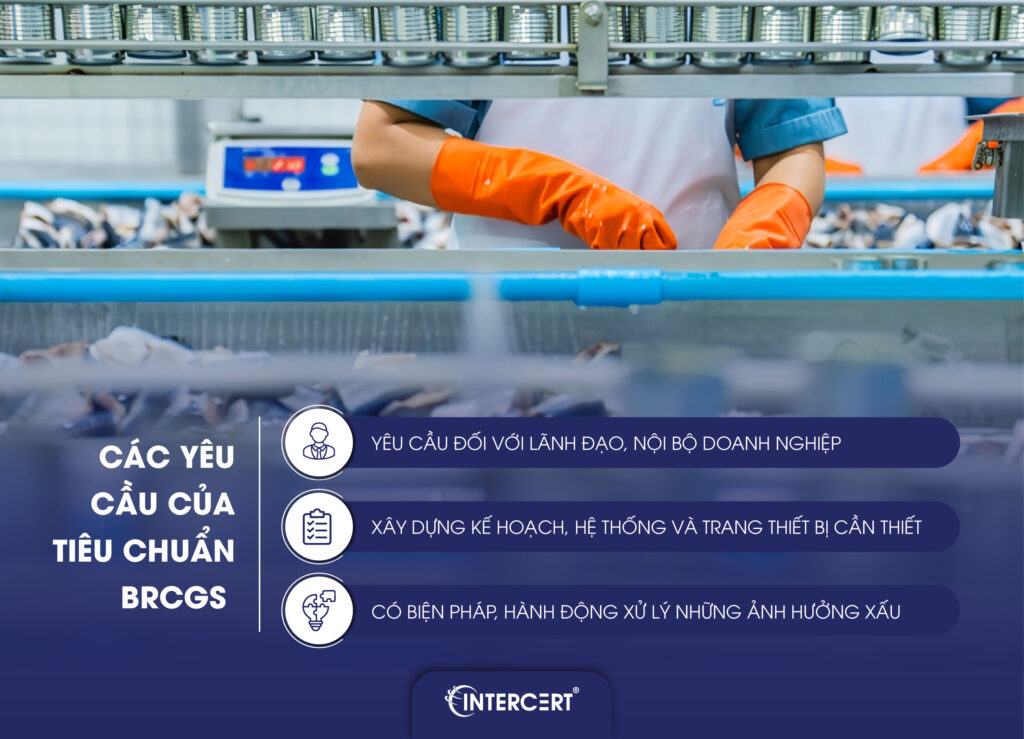 Tư vấn BRCGS